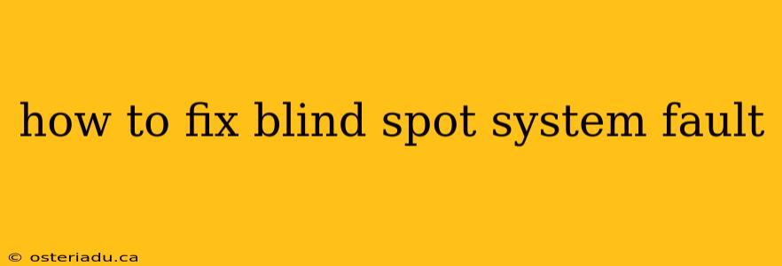 how to fix blind spot system fault