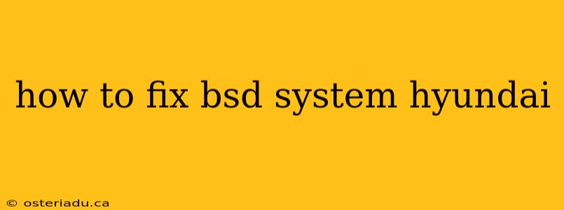 how to fix bsd system hyundai