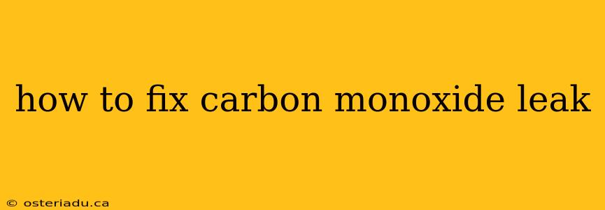 how to fix carbon monoxide leak