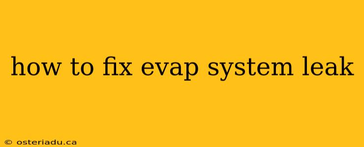 how to fix evap system leak