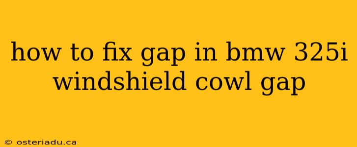 how to fix gap in bmw 325i windshield cowl gap