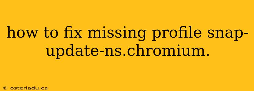 how to fix missing profile snap-update-ns.chromium.