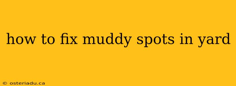 how to fix muddy spots in yard