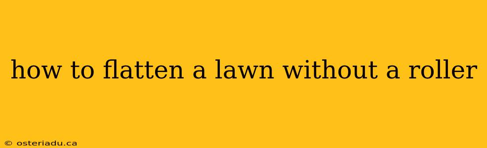 how to flatten a lawn without a roller