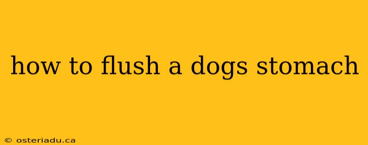 how to flush a dogs stomach