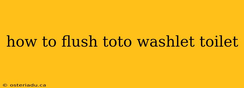 how to flush toto washlet toilet