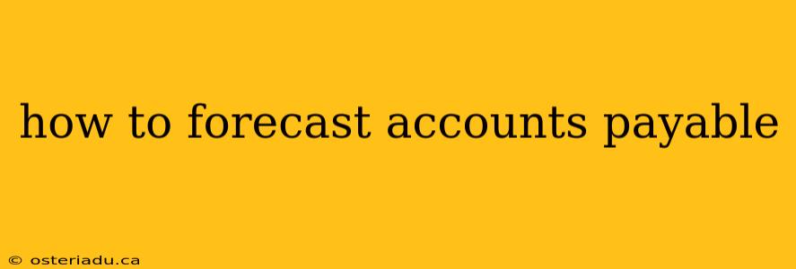 how to forecast accounts payable