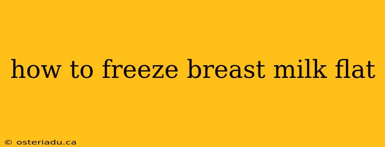 how to freeze breast milk flat