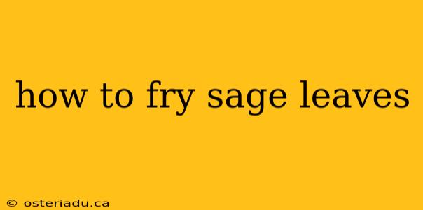 how to fry sage leaves