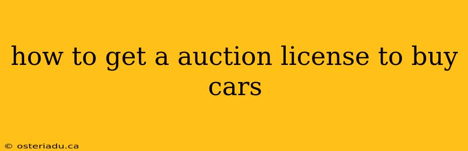 how to get a auction license to buy cars