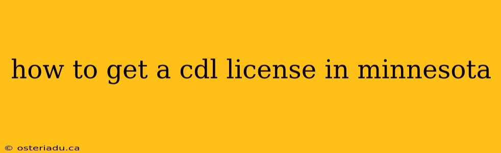 how to get a cdl license in minnesota