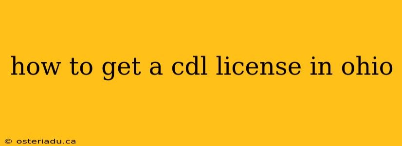 how to get a cdl license in ohio