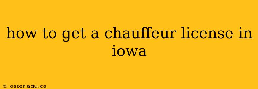 how to get a chauffeur license in iowa