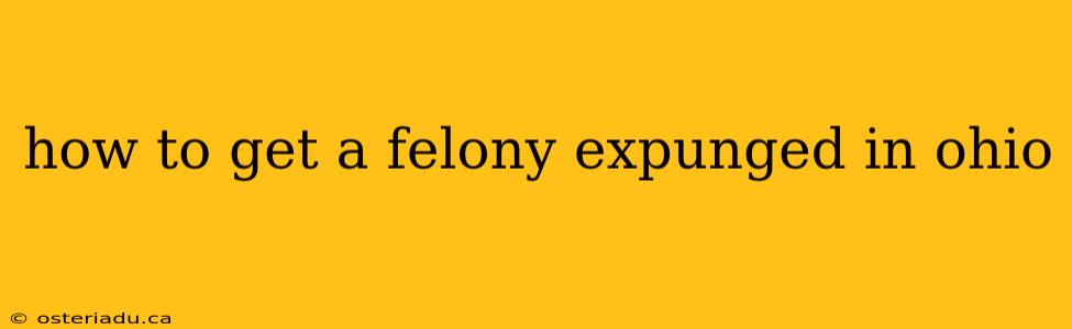 how to get a felony expunged in ohio