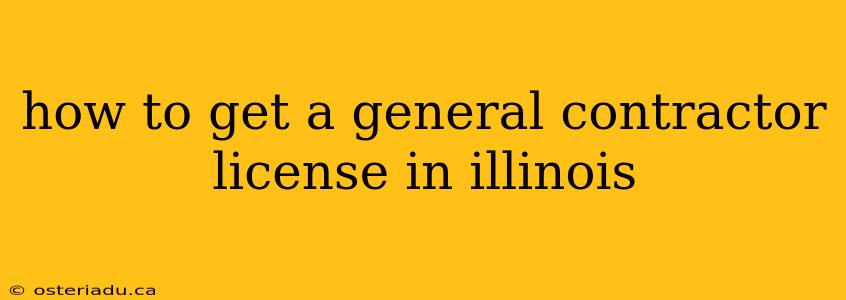 how to get a general contractor license in illinois