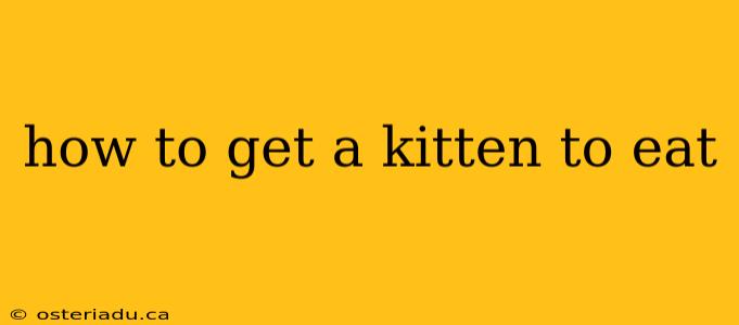 how to get a kitten to eat