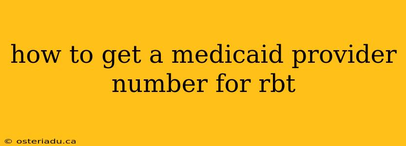 how to get a medicaid provider number for rbt