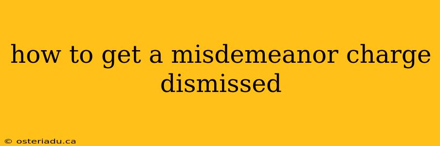 how to get a misdemeanor charge dismissed