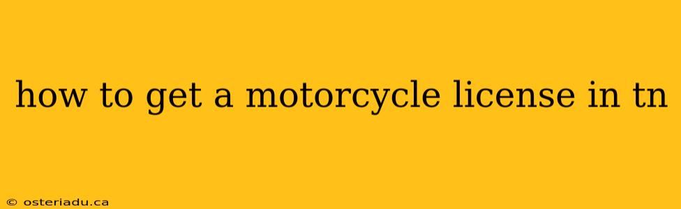 how to get a motorcycle license in tn