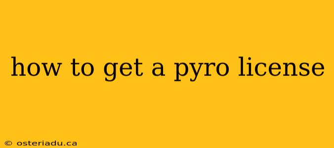 how to get a pyro license