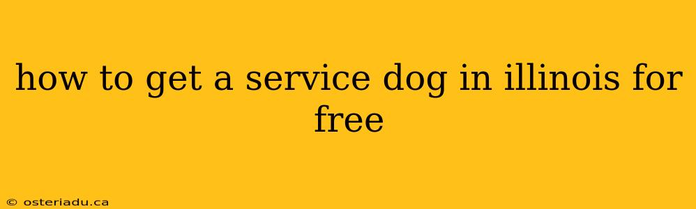 how to get a service dog in illinois for free