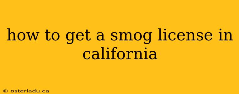 how to get a smog license in california