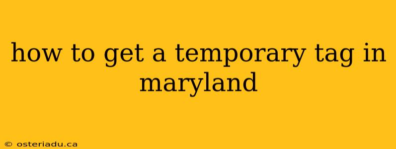 how to get a temporary tag in maryland