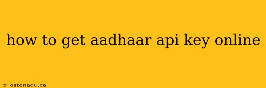 how to get aadhaar api key online