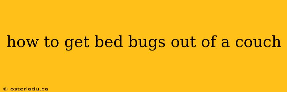 how to get bed bugs out of a couch