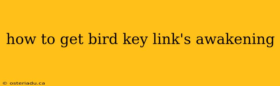 how to get bird key link's awakening