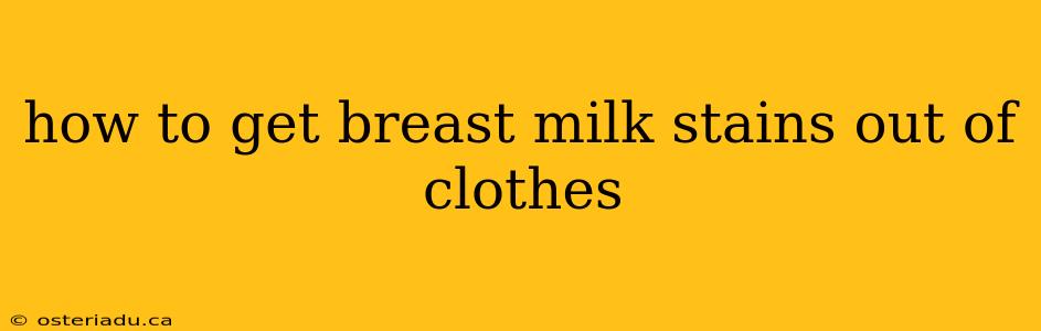 how to get breast milk stains out of clothes