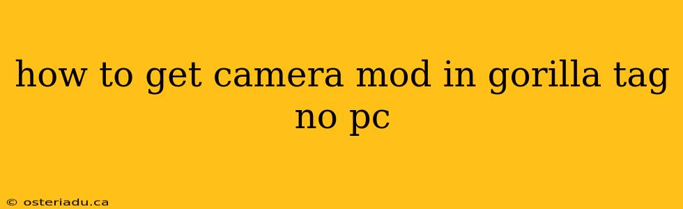 how to get camera mod in gorilla tag no pc