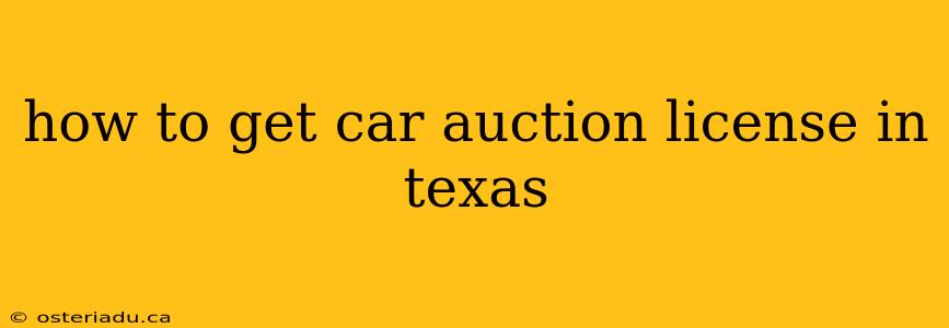 how to get car auction license in texas