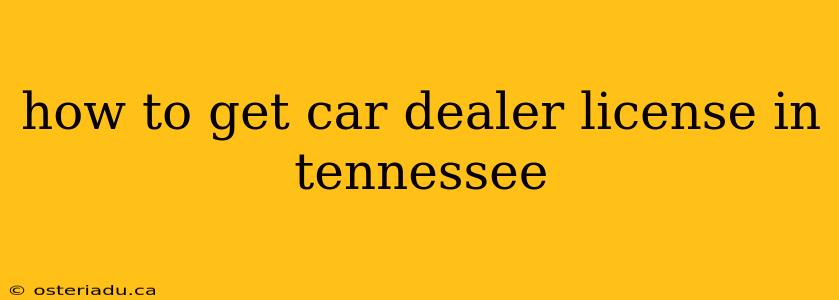 how to get car dealer license in tennessee