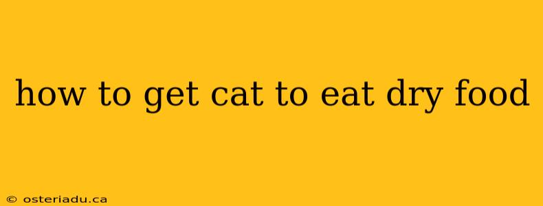 how to get cat to eat dry food