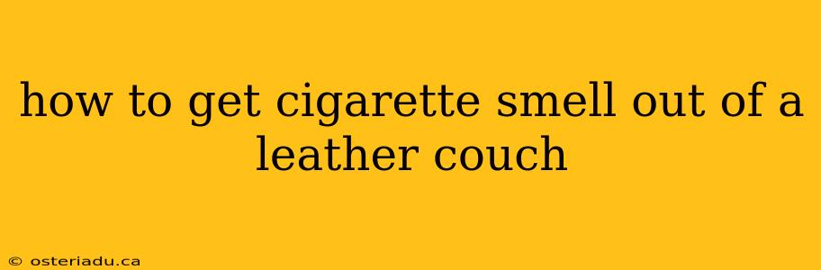 how to get cigarette smell out of a leather couch