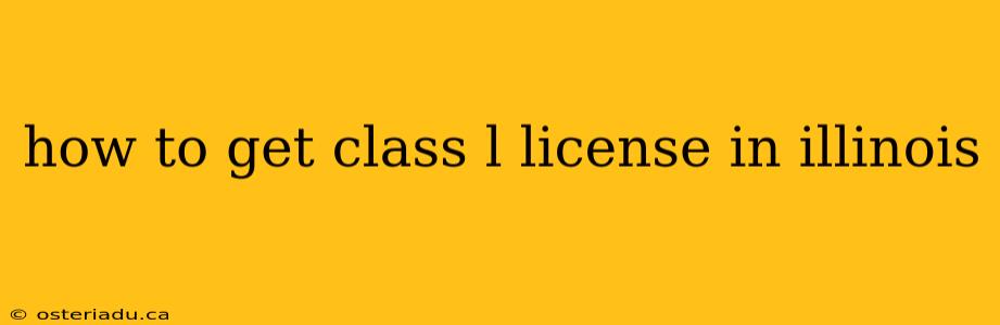 how to get class l license in illinois