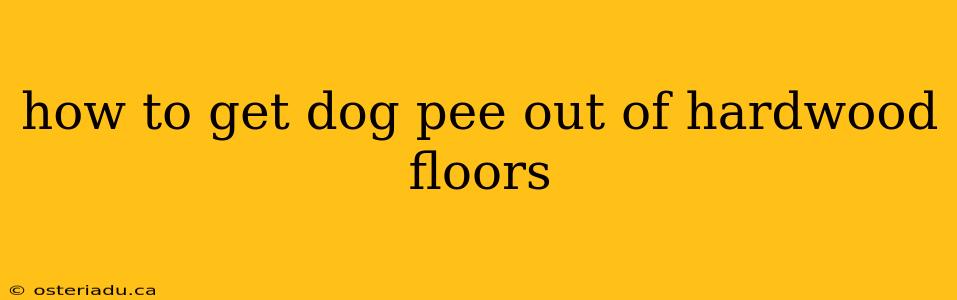 how to get dog pee out of hardwood floors