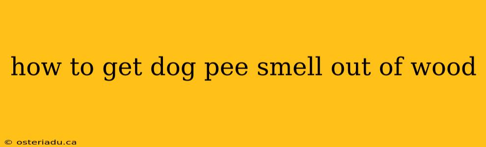 how to get dog pee smell out of wood