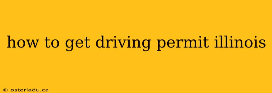 how to get driving permit illinois