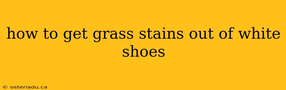 how to get grass stains out of white shoes