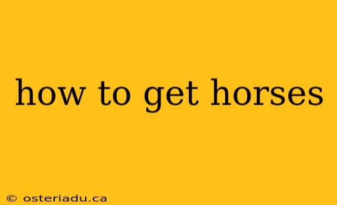 how to get horses