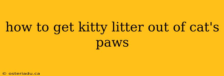 how to get kitty litter out of cat's paws