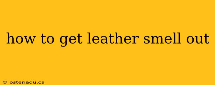 how to get leather smell out