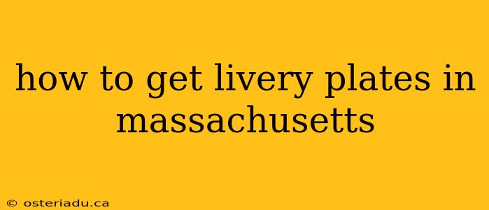 how to get livery plates in massachusetts