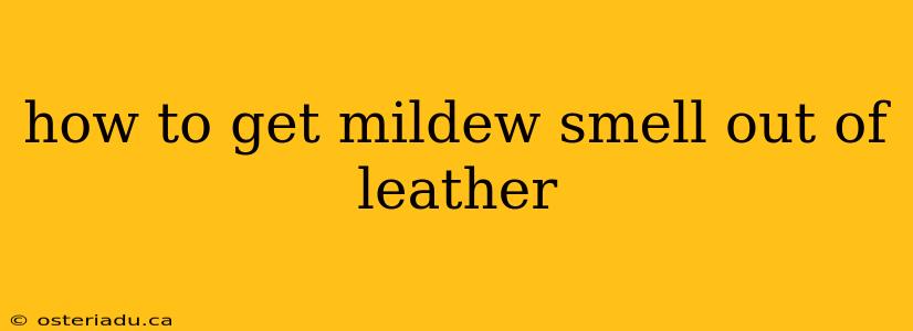 how to get mildew smell out of leather