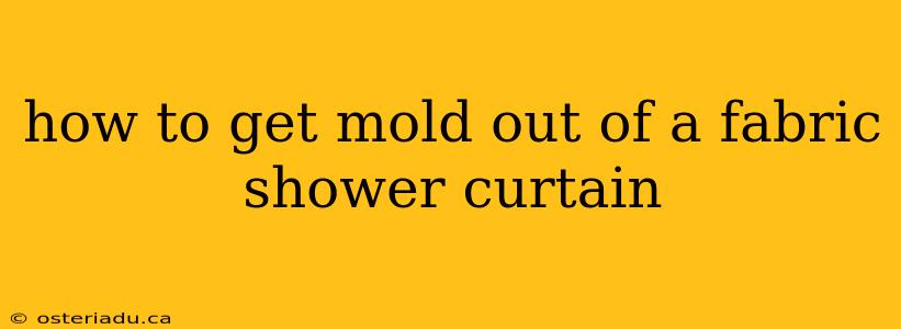 how to get mold out of a fabric shower curtain