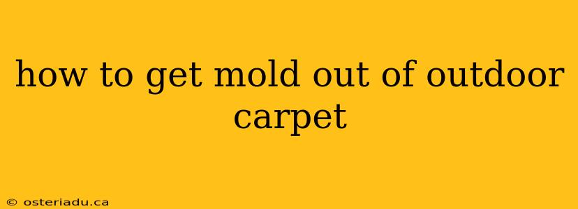 how to get mold out of outdoor carpet