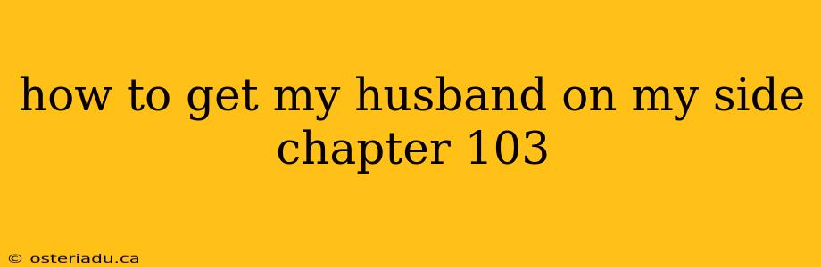 how to get my husband on my side chapter 103