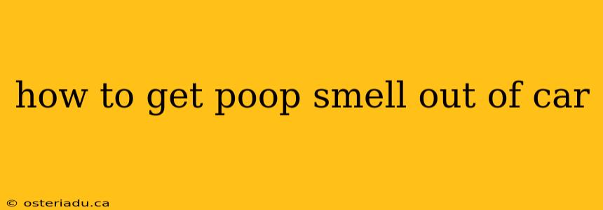 how to get poop smell out of car